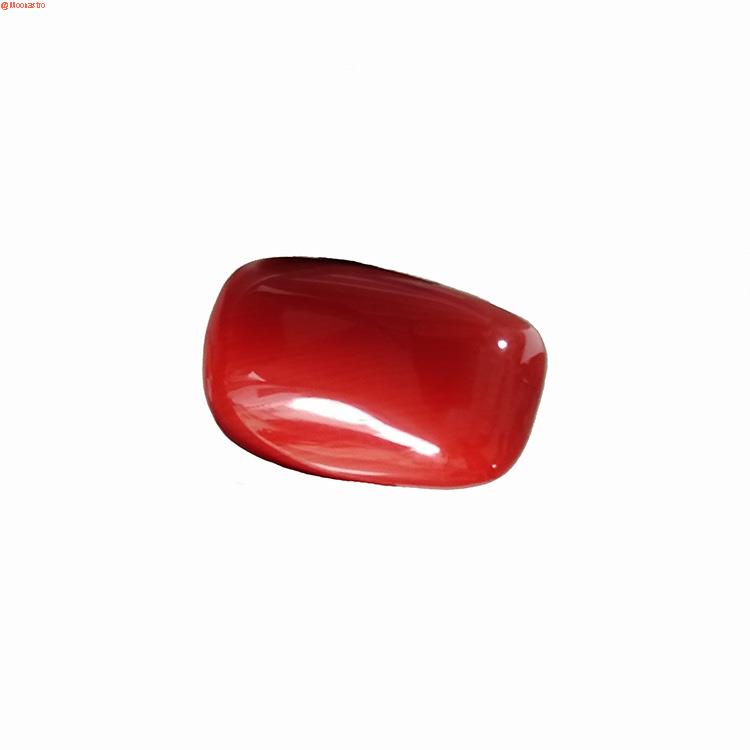 red coral premium extra large size